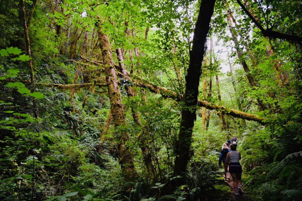 campers walking through Oregon forest